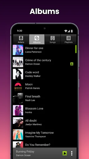 Albums view in Music Player displaying organized music library with album covers, artist names, and song collections
